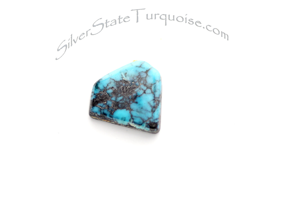 Candelaria Turquoise SST 223 – Otteson Turquoise